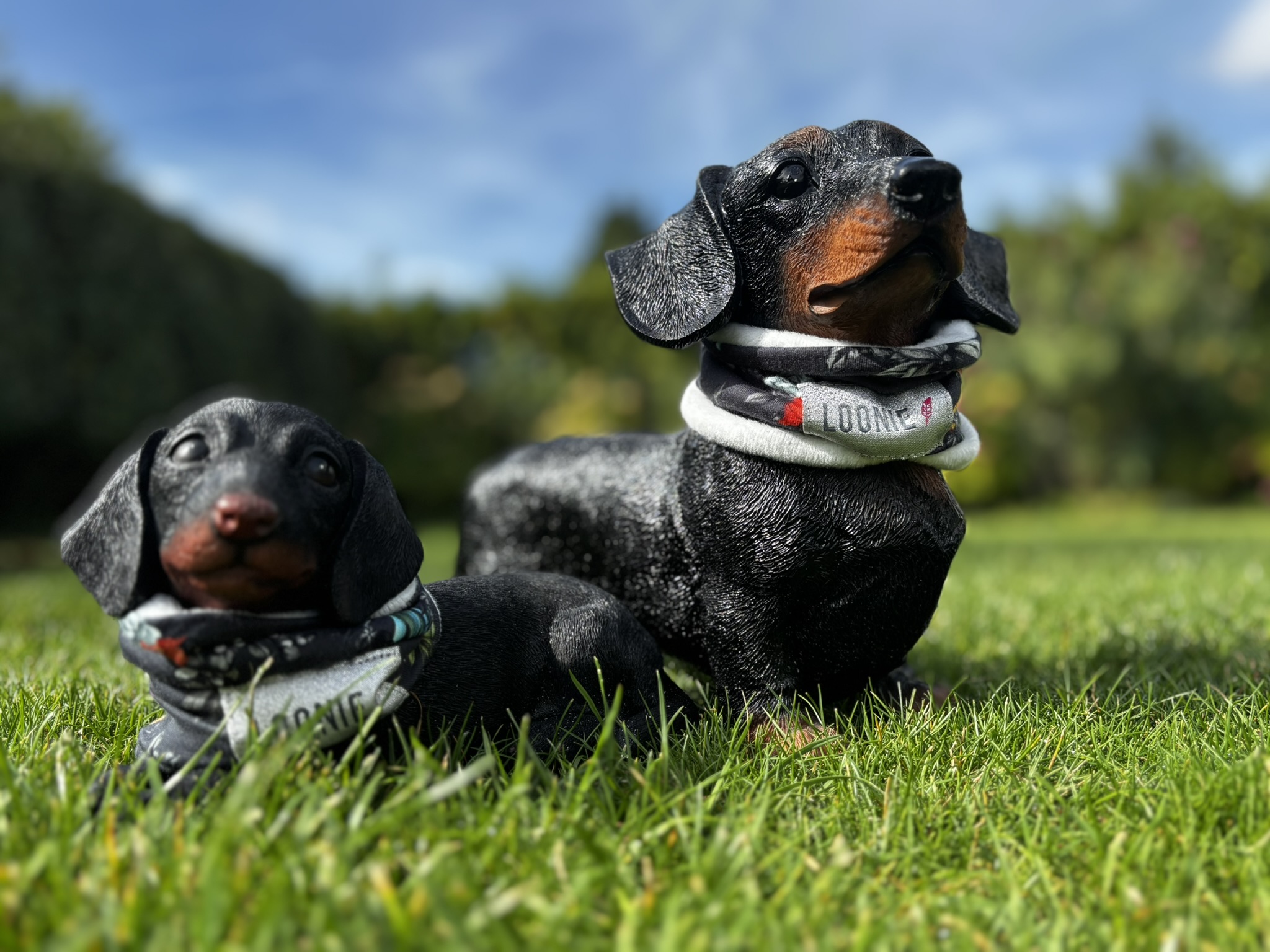 Rundschal Loopie Love