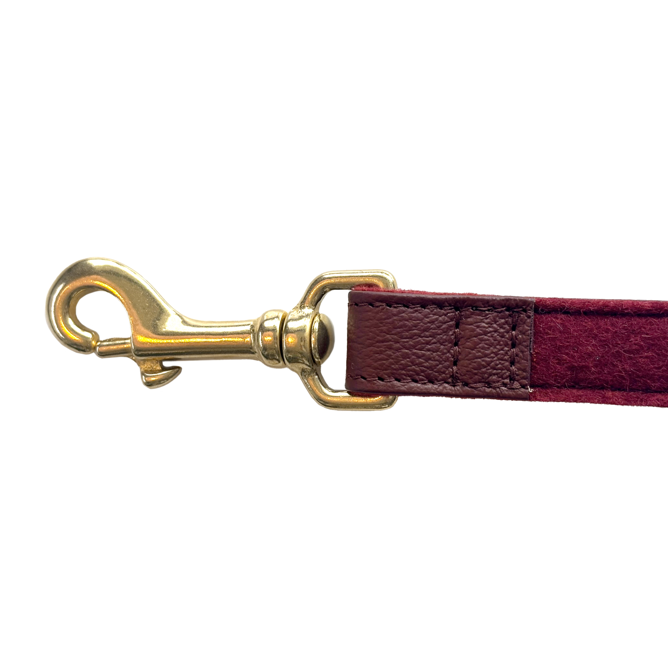 Hundeleine Zigarre City