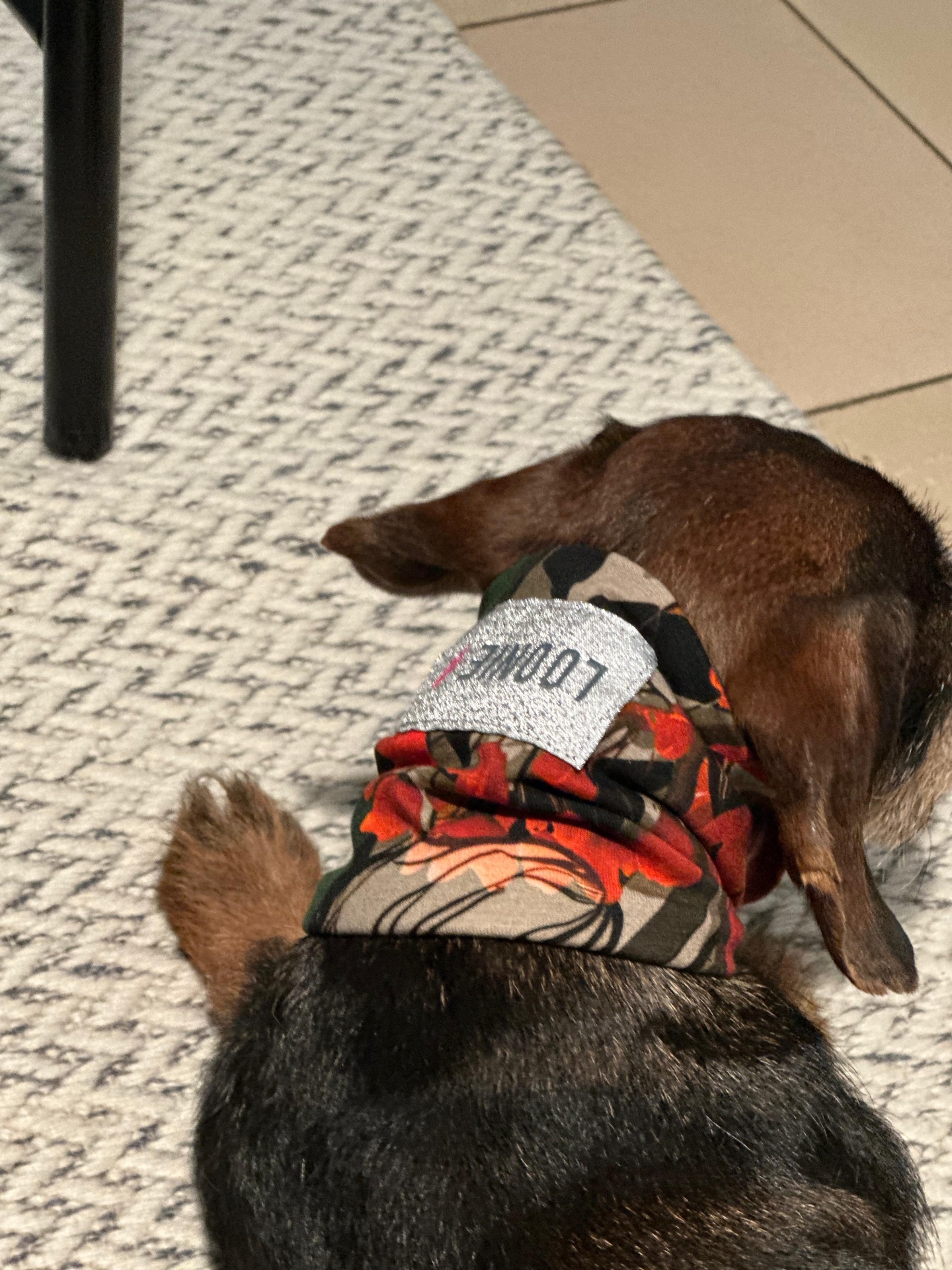 Rundschal Loopie Loop